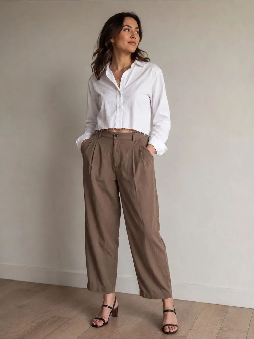Madewell Brown Barroway Wide Leg Crop Trousers Pleated Pant Sz 14 Quiet Luxury